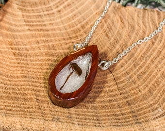 Real Dried Miniature Mushroom Necklace, wooden framed real mushroom in resin sterling silver unique jewelry, anniversary gift for her