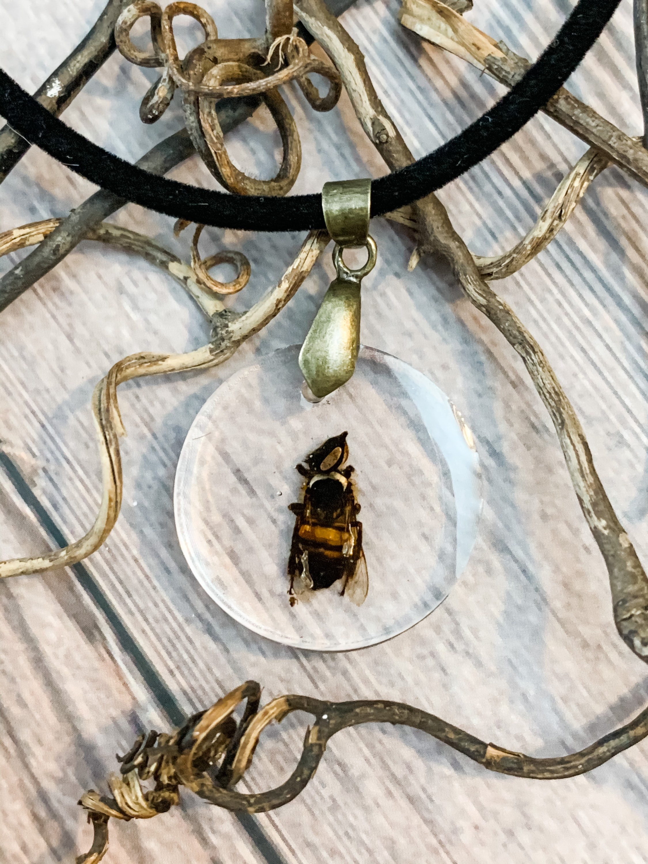 Real 2024 insect jewelry