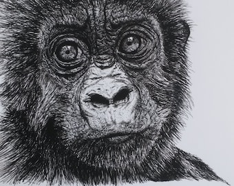 Baby Gorilla A4 Print