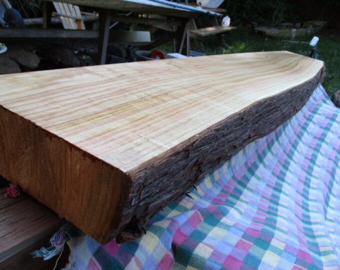 56 Big Live Edge Cedar Mantel, Thick , Clear Cedar With a Perfect Bell