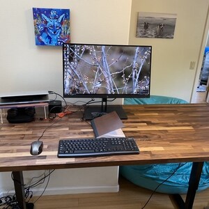 Pu&ograve; includere: Una scrivania in legno con una tastiera nera, un mouse per computer e un supporto per laptop. Un monitor con una scena naturale &egrave; sulla scrivania. Una poltrona a sacco turchese &egrave; sullo sfondo.