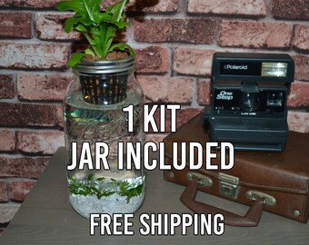 3 mason jar aquaponics kit build your own hydroponics herb