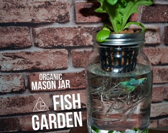 Mason Jar Fish Garden - Desktop Aquaponics and Sustainable Garden
