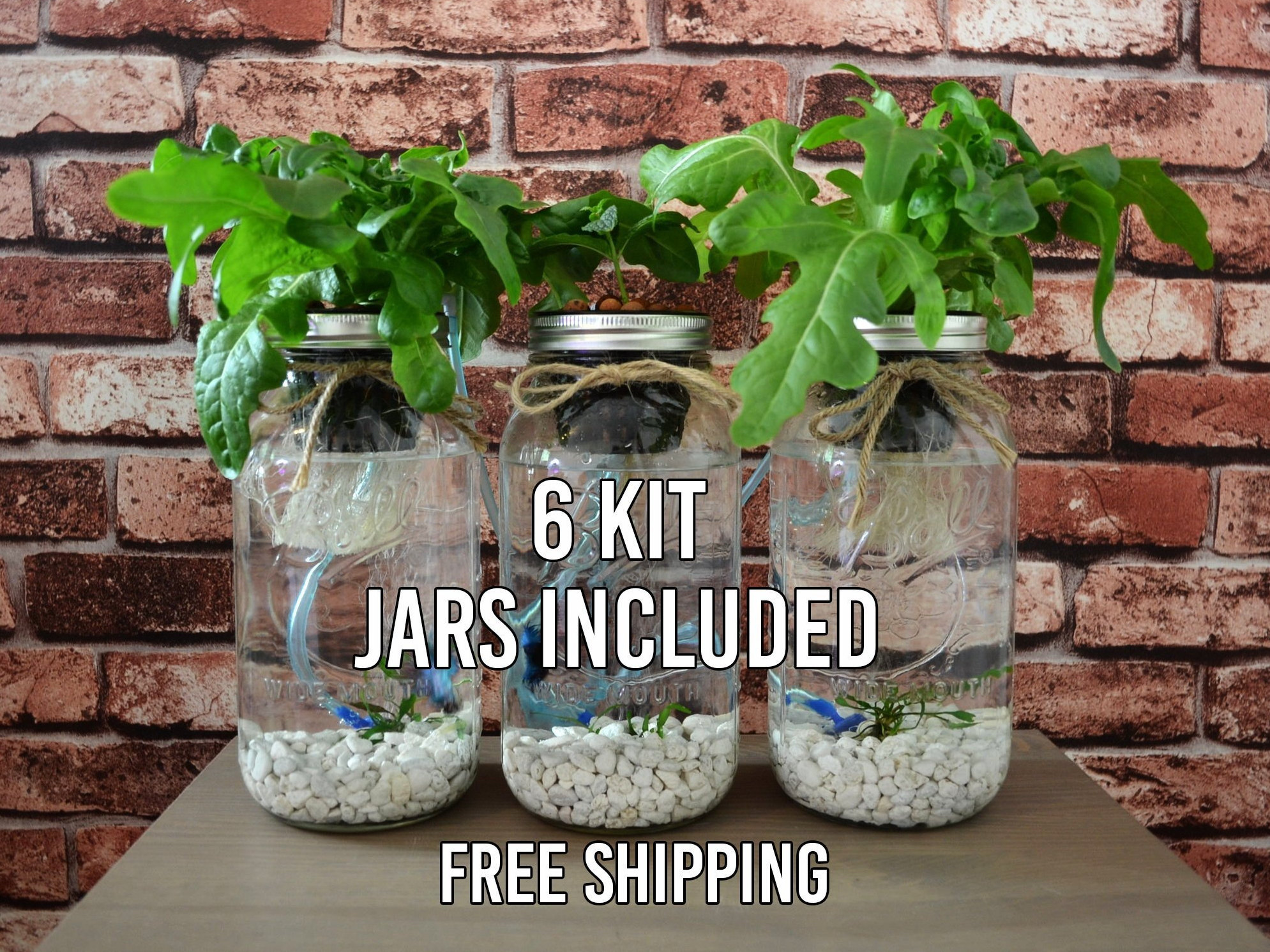 6 Mason Jar Aquaponics Kit Build Your Own Hydroponics Herb Etsy