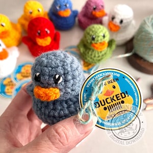 Può includere: Un'anatra blu all'uncinetto con becco arancione è tenuta davanti a una collezione di anatre all'uncinetto colorate. Le anatre sono gialle, rosse, blu, rosa, verdi e bianche. Un'etichetta con la scritta "DUCKED!" è attaccata.