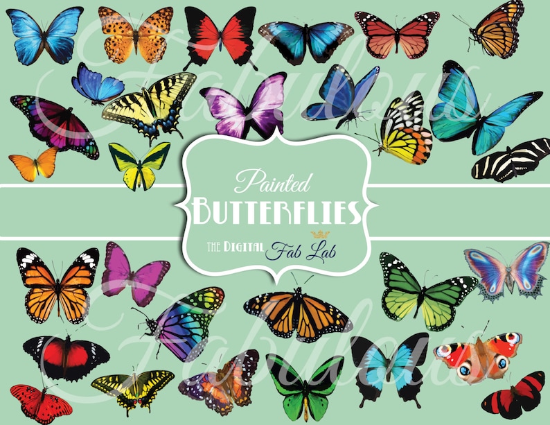 Painted Digital Butterfly Monarch Digital Clipart Scrapbook Etsy