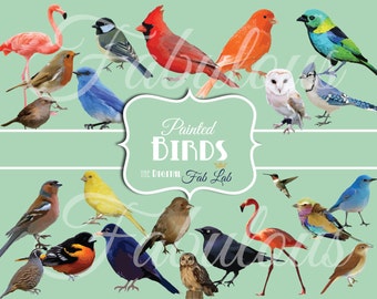 Painted Digital Birds, Cardinal, Quail, Blue Bird, Flamingo, Owl, Canairy, Digital Clipart, Scrapbook