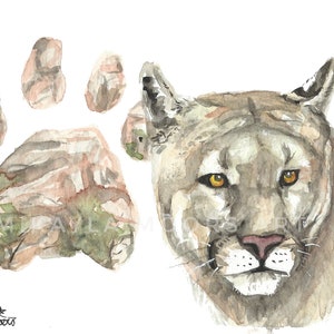Mountain Lion Canyon Giclee Watercolor Print | Animal Track Art, Camping, Hiking, Outdoors, Wildlife Gift | Cougar Painting