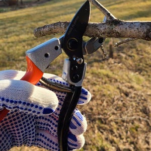 8.3 Inch Gardening Pruning Shears, Made in Japan Professional Heavy Duty Sharp Anvil Garden Secateurs Clippers Trimming Scissors, Tonma TP-4