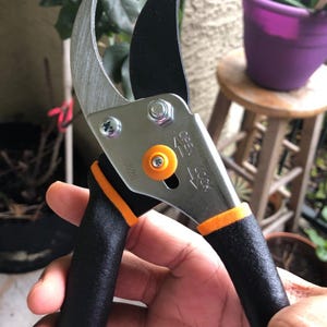 May include: Close-up of a black and orange pruning shears with a silver blade. The shears have a lock and open lever. The text "LOCK" and "OPEN" are visible on the shears.