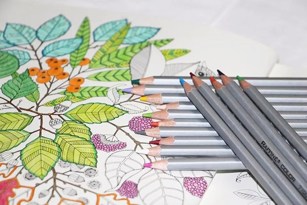 72 Adult Coloring Book Pencil Set Colored Drawing Pencils | Etsy