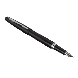 Pilot Füllfederhalter, Pilot Metropolitan Füllfederhalter, Füllfederhalter mit feiner Feder, schwarzer Füllfederhalter, schwarze Tinte; Kalligraphie-Zeichnung mit Tinte