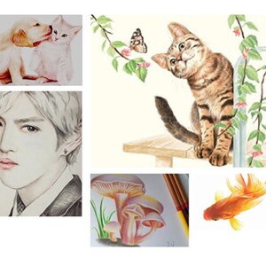 May include: A collection of watercolor illustrations featuring a variety of subjects. The images include a purple orchid, a golden retriever puppy and a kitten, a cat, a succulent plant, a portrait of a person, mushrooms, a goldfish, and an anime-style character.