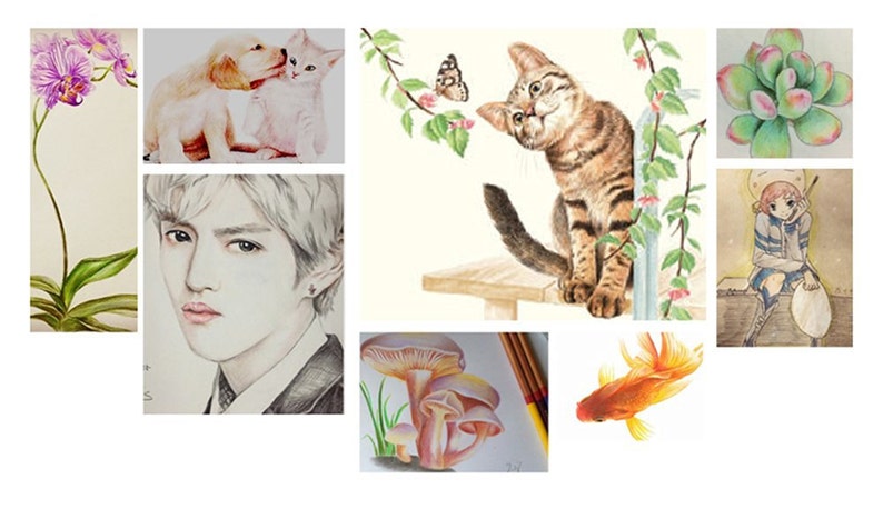 May include: A collection of watercolor illustrations featuring a variety of subjects. The images include a purple orchid, a golden retriever puppy and a kitten, a cat, a succulent plant, a portrait of a person, mushrooms, a goldfish, and an anime-style character.