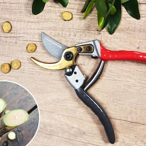 Puede incluir: Tijeras de podar con mango rojo, cuerpo negro y plateado, y detalles dorados. La cuchilla es gris oscuro. Las tijeras están sobre una superficie de madera con pequeñas rodajas de madera y hojas verdes.