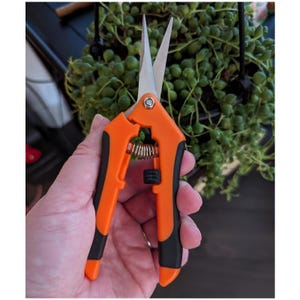 6.5 Inch Gardening Scissors Hand Pruner Micro Tip Snips Straight Pruning Shear