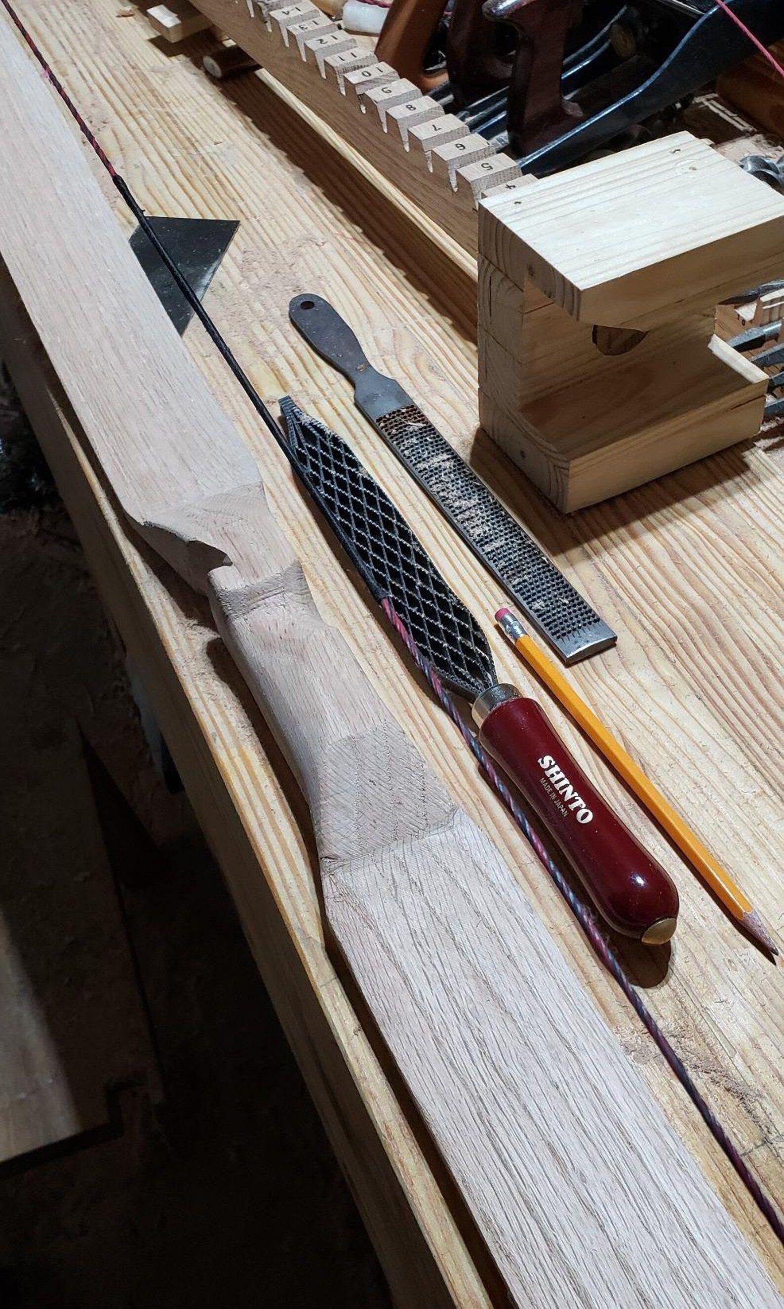 Saw Rasp for Wood, 250mm, 10