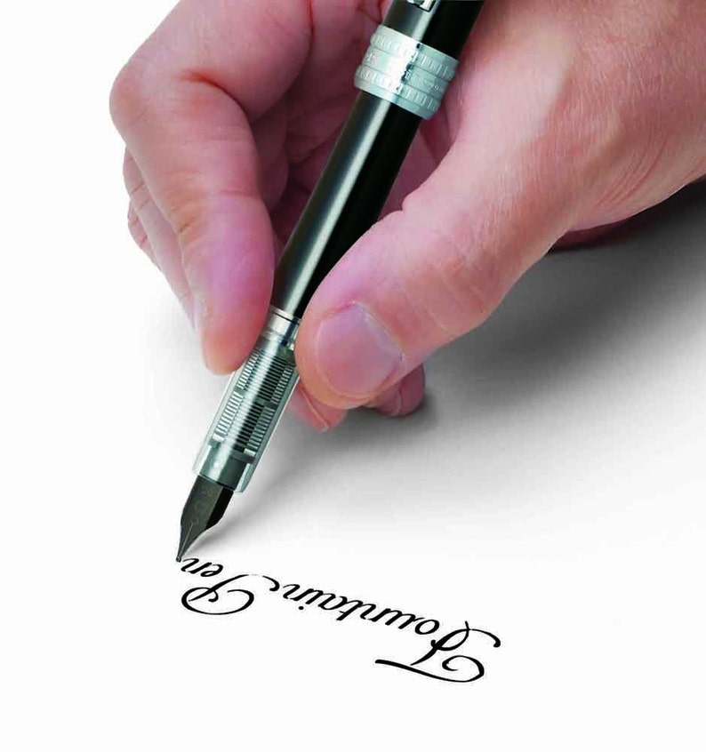 Violet Platinum Plaisir Fountain Pen Inking Fine Nib Fountain Pen Calligraphy Ink Pen for Writing Drawing