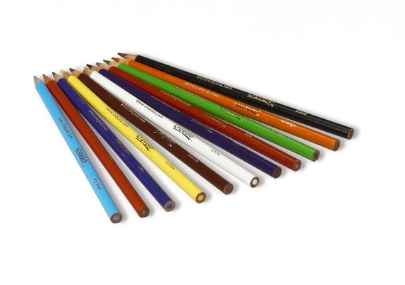 Crayons à colorier de couleur, 240 Pack Livres de coloriage pour adultes,  dessin, étude biblique, journal, planificateur, journal Crayola Long Color  Pencil Set -  France