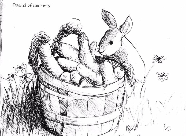 May include: A black and white line drawing of a rabbit peeking into a bushel of carrots. The bushel is full of carrots and the rabbit is looking at the carrots with interest. The text "Bushel of carrots" is written at the top of the image.