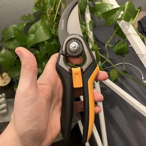 Fiskars Bypass Pruning Shears SoftGrip Pruner, Heavy Duty Forged Steel Low Friction Coating Replaceable Blade Garden Scissors