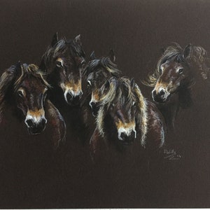 Fine Art Limited Edition . Exmoor Gathering