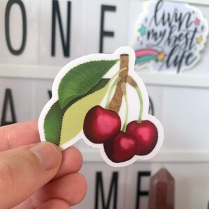 Cherry Sticker Glossy Vinyl Sticker iPad Sticker Waterproof Water Bottle Sticker Laptop Sticker Kindle Sticker 2&quot;x2&quot; Cherry Glossy Sticker
