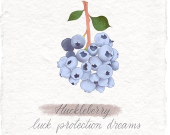 Huckleberry Botanical Print, Witchy Handmade Art on Cotton Paper