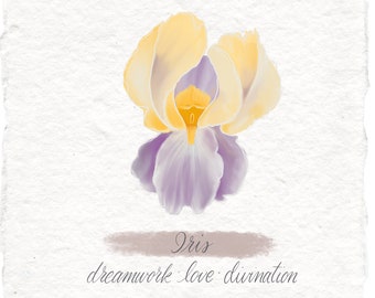 Witchy Iris Art Print, Dreamwork Divination on Handmade Paper