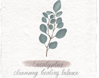 Eucalyptus Art Print, Witchy Botanical Illustration on Handmade Paper