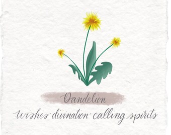 Witchy Dandelion Art Print, Botanical Grimoire on Handmade Paper
