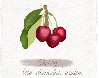 Cherry Botanical Art Print, Handmade Cotton Rag Paper