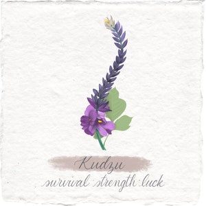 Witchy Art Print Kudzu Botanical Illustration Handmade For Anyone Grimoire Digital Print Art Print Luck Protection Dreams Print Digital Art
