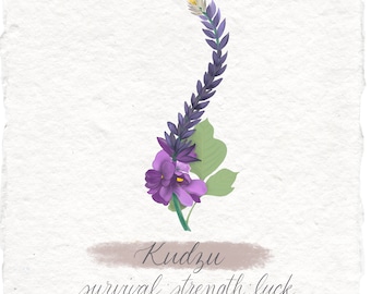 Kudzu Botanical Art Print, Luck and Protection on Handmade Paper