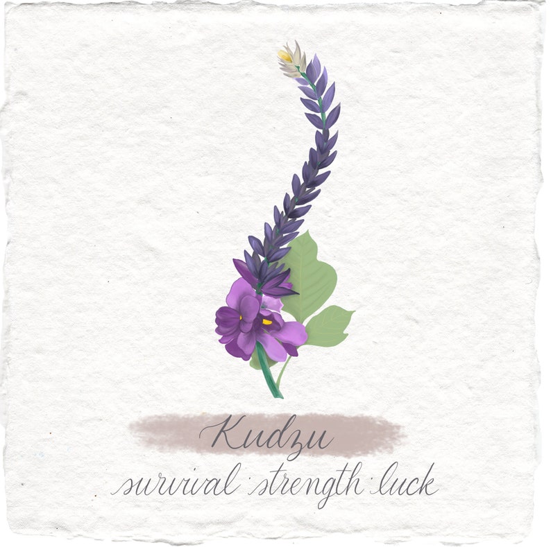 Witchy Art Print Kudzu Botanical Illustration Handmade for Anyone ...
