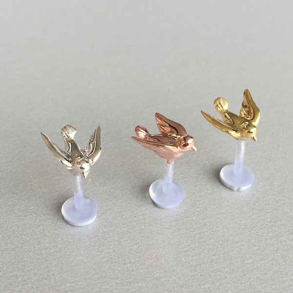Boucle d'oreille Tragus petite colombe 16G, oiseau volant, Piercing d'oreille de cartilage en argent, bijoux de conque en or, épingle à dos plat, poteau labret Bioflex