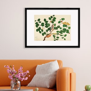 Framed Mounted Indian Jujube Tree Art Vintage Print Poster Antique Sheikh Zain al-Din Painting Nature Birds Butterflies Georgian Victorian