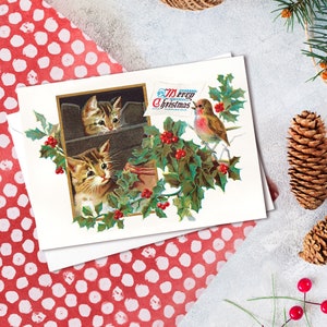 Biglietti di auguri vittoriani Set di cartoline di Natale Natale Robin Capodanno Inverno edoardiano Vintage Retrò Gattini Gattini Kawaii Kitsch Carino Divertente - K21