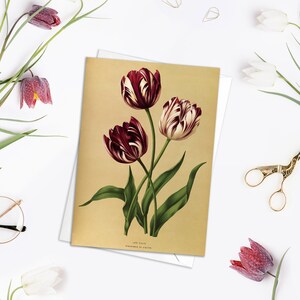 Tulipanes Antigua Tarjeta de felicitación botánica Cumpleaños Arte floral con sobre Flores de San Valentín Vintage Púrpura Victoriana Hermosa Bonita - T01