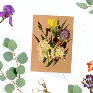 Iris Flor Antigua Tarjeta de felicitación botánica Cumpleaños Arte floral con sobre San Valentín Vintage Victoriano Hermosa Arentine H Arendsen R12