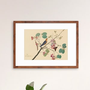 Framed Mounted Indian Jujube Tree Art Vintage Print Poster Antique Sheikh Zain al-Din Painting Nature Birds Butterflies Georgian Victorian