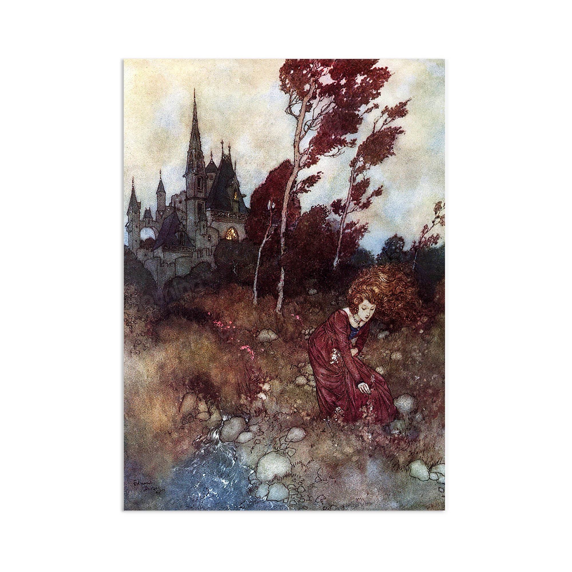 Quirky Vintage Art Print Poster Wall Antique Book Illustration Etsy