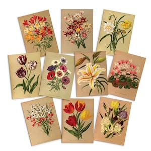 Tarjetas de felicitación botánicas antiguas Juego de tarjetas de cumpleaños de 10 - Diez florales paquete de arte Valentines flores tulipanes vintage victoriano hermoso