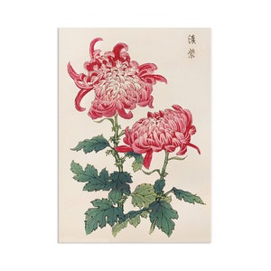 Japanese Ukiyo-e Art Print Poster Woodblock Wall Art Keika Hasegawa Chrysanthemums Flowers Landscape Tattoo Beautiful Japan Calligraphy A3