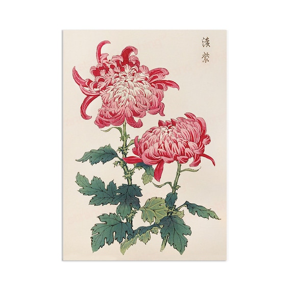 日本の浮世絵アートプリントポスター木版画壁アート長谷川桂香菊花風景