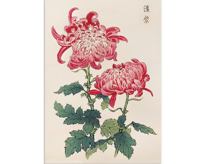 Japanese Ukiyo-e Art Print Poster Woodblock Wall Art Keika Hasegawa Chrysanthemums Flowers Landscape Tattoo Beautiful Japan Calligraphy A3