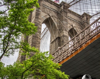 Brooklyn Bridge - INSTANT DIGITAL DOWNLOAD - The Brooklyn Bridge and suspension wires tower over a tree in Brooklyn.