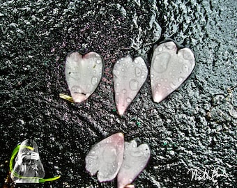 Wet Hearts - INSTANT DIGITAL DOWNLOAD - White, heart-shaped flower petals on wet black top.  Love, hearts and flowers.