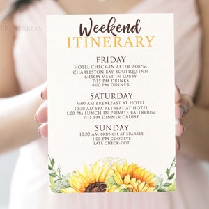 Printable Itinerary Template Weekend Itinerary Hens Party Etsy