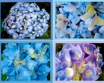 Blue and Purple Hydrangeas - Floral Photo Note Card Assortment - Set of 6